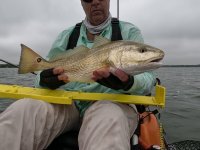 24" Redfish on 20240515